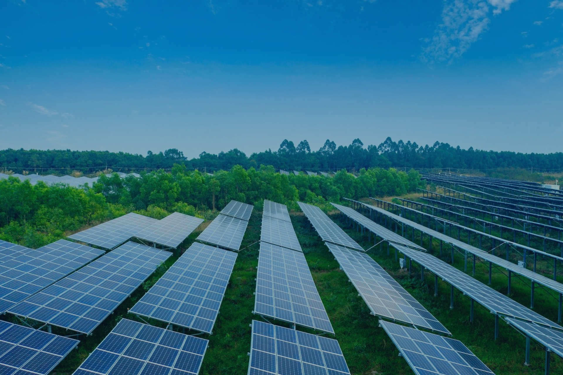 光伏監(jiān)控平臺